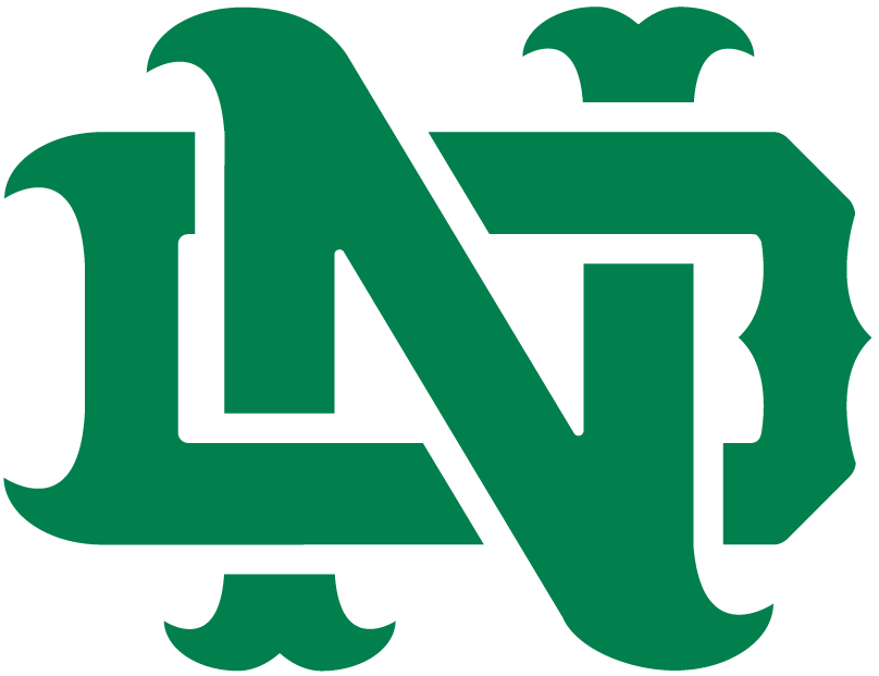 Notre Dame Fighting Irish 1994-Pres Alternate Logo v16 diy DTF decal sticker